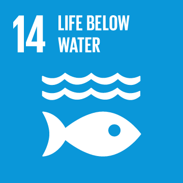 THE SUSTAINABLE DEVELOPMENT GOALS WE ARE CONTRIBUTING TO 13